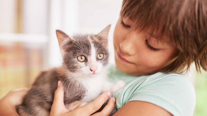 come-scegliere-nome-gatto_1280x853